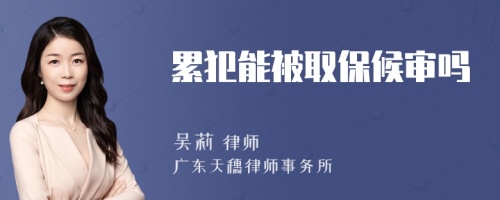 累犯能被取保候审吗