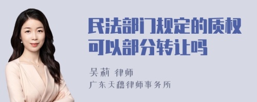 民法部门规定的质权可以部分转让吗