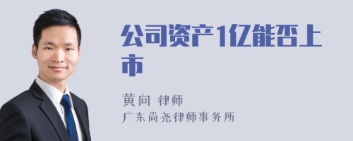 公司资产1亿能否上市