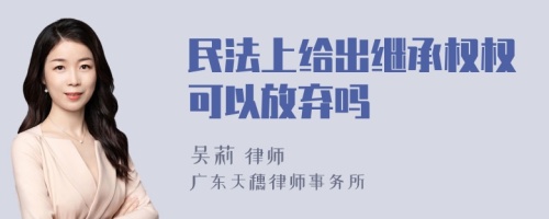 民法上给出继承权权可以放弃吗