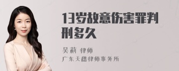 13岁故意伤害罪判刑多久