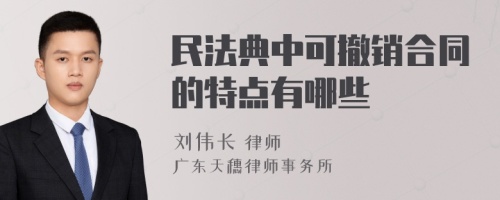 民法典中可撤销合同的特点有哪些