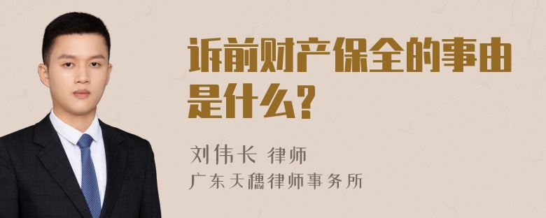 诉前财产保全的事由是什么?