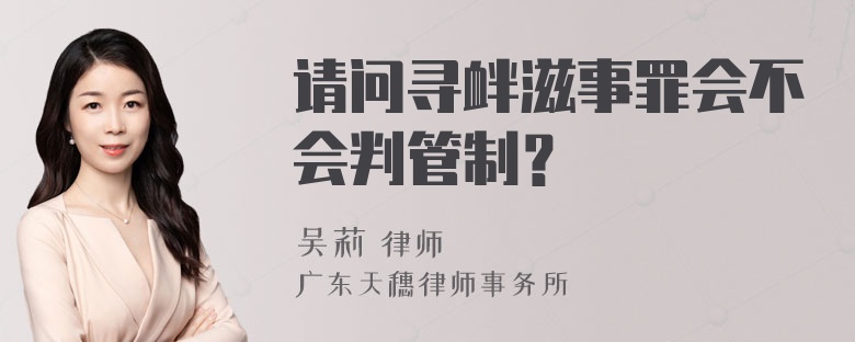 请问寻衅滋事罪会不会判管制？