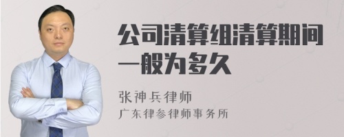 公司清算组清算期间一般为多久