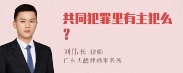 共同犯罪里有主犯么？