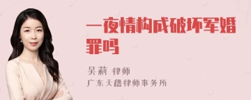 一夜情构成破坏军婚罪吗