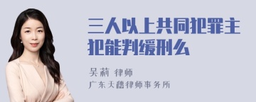 三人以上共同犯罪主犯能判缓刑么