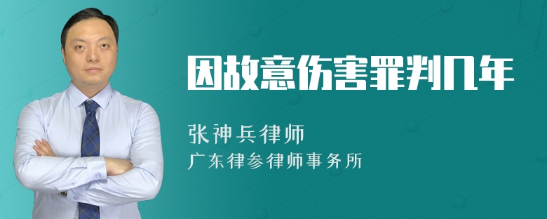 因故意伤害罪判几年