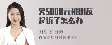 欠5000元被朋友起诉了怎么办