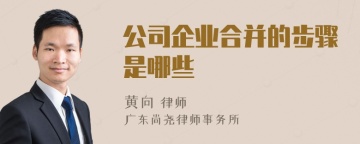 公司企业合并的步骤是哪些