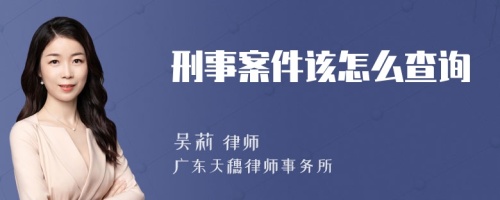 刑事案件该怎么查询