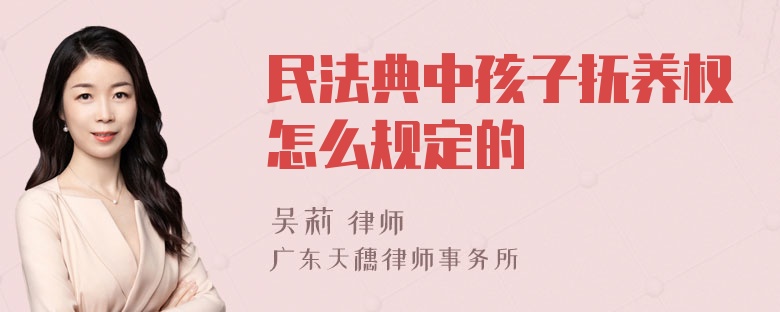 民法典中孩子抚养权怎么规定的