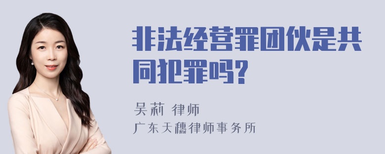 非法经营罪团伙是共同犯罪吗?