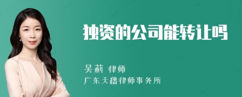 独资的公司能转让吗