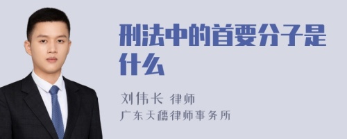 刑法中的首要分子是什么