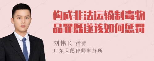 构成非法运输制毒物品罪既遂该如何惩罚