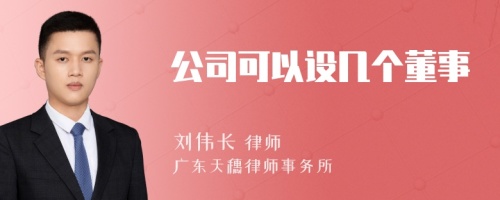 公司可以设几个董事