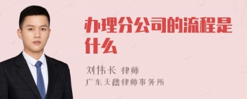 办理分公司的流程是什么