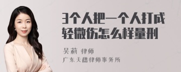 3个人把一个人打成轻微伤怎么样量刑