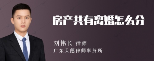 房产共有离婚怎么分