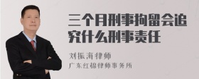 三个月刑事拘留会追究什么刑事责任