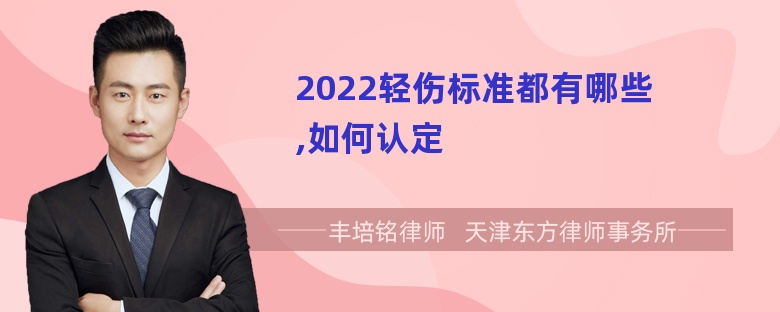 2022轻伤标准都有哪些,如何认定