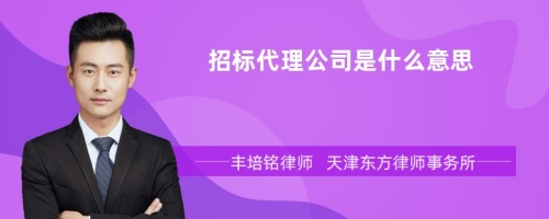 招标代理公司是什么意思