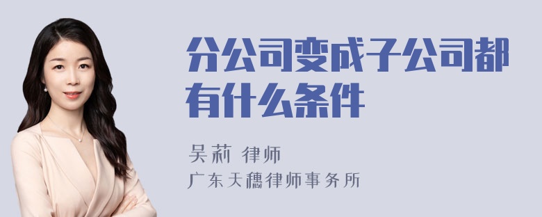 分公司变成子公司都有什么条件