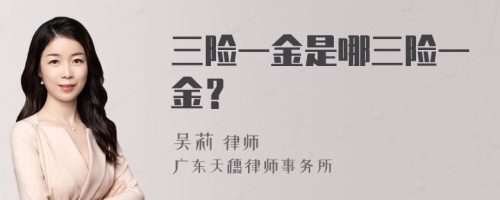 三险一金是哪三险一金？