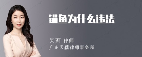 锚鱼为什么违法