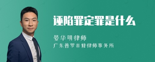 诬陷罪定罪是什么