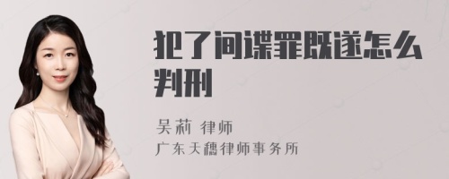 犯了间谍罪既遂怎么判刑