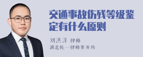 交通事故伤残等级鉴定有什么原则