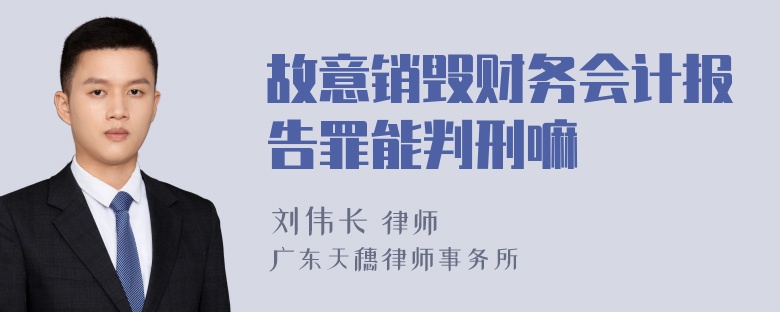 故意销毁财务会计报告罪能判刑嘛