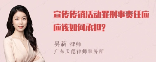 宣传传销活动罪刑事责任应应该如何承担?