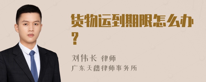 货物运到期限怎么办？