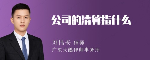 公司的清算指什么