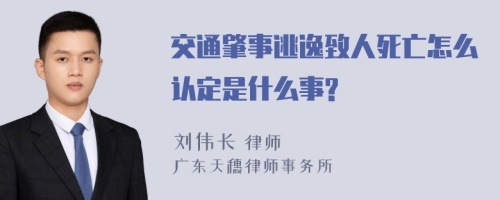 交通肇事逃逸致人死亡怎么认定是什么事?