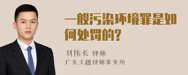 一般污染环境罪是如何处罚的?