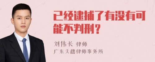 已经逮捕了有没有可能不判刑？