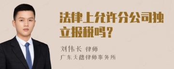 法律上允许分公司独立报税吗？