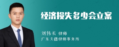 经济损失多少会立案