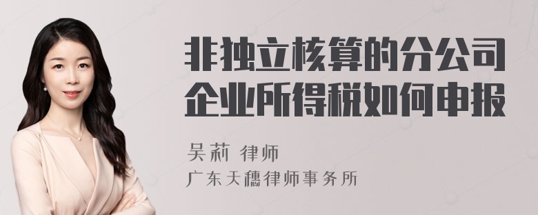 非独立核算的分公司企业所得税如何申报