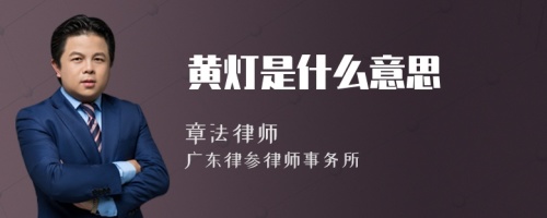 黄灯是什么意思