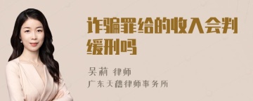 诈骗罪给的收入会判缓刑吗