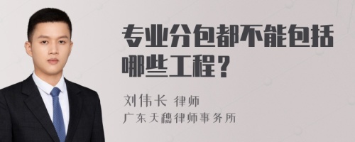 专业分包都不能包括哪些工程？