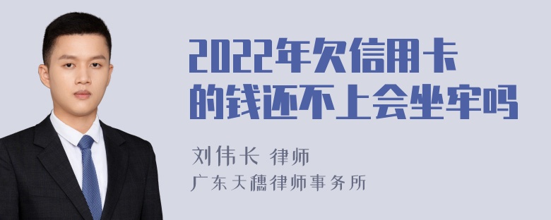 2022年欠信用卡的钱还不上会坐牢吗