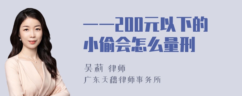 一一200元以下的小偷会怎么量刑