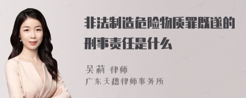 非法制造危险物质罪既遂的刑事责任是什么